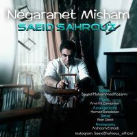 Saeed-Shahrouz-Negaranet-Misham