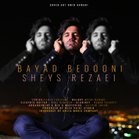 Sheys-Rezaei-Bayad-Bedooni