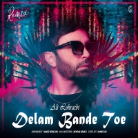 دلم بند توئه (ریمیکس) - Delam Bande Toe (Remix)