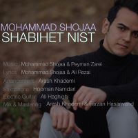 Mohammad-Shojaa-Shabihet-Nist