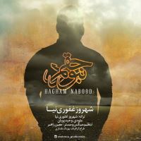 Shahrooz-Ghafoori-Nia-Hagham-Nabood