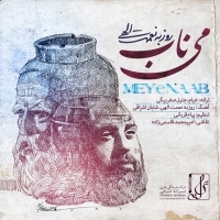 Roozbeh-Nematollahi-Meye-Naab
