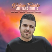 Mojtaba-Shoja-Delam-Fadate