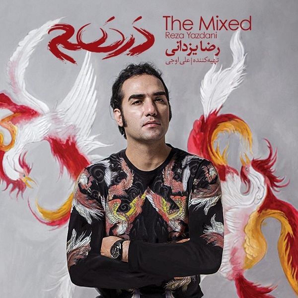 Reza-Yazdani-The-Mixed