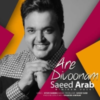 Saeed-Arab-Are-Divoonam