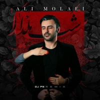 Ali-Molaei-Shabe-Yalda-Remix