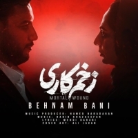 Behnam-Bani-Zakhm-Kari
