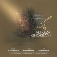 Alireza-Ghorbani-Bi-Gonah