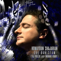 Homayoun-Shajarian-Che-Danestam-Remix